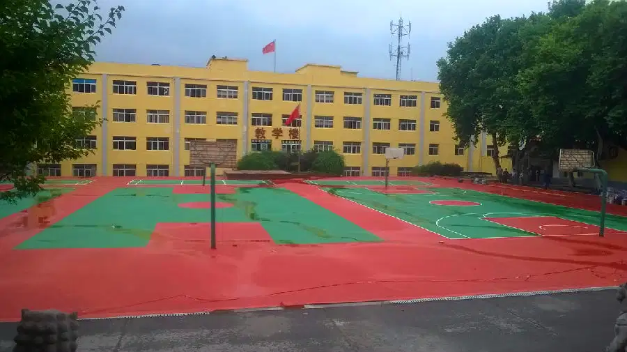 蚂蚁体育官方网站图片