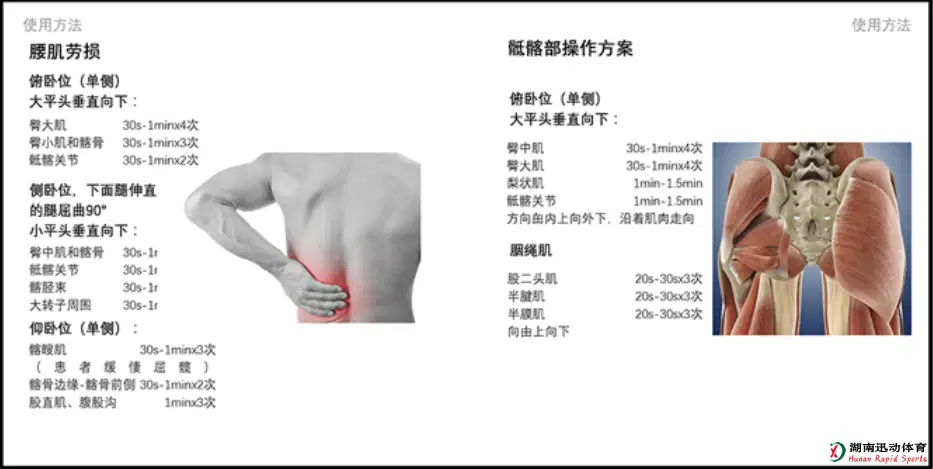 蚂蚁体育官方网站图片